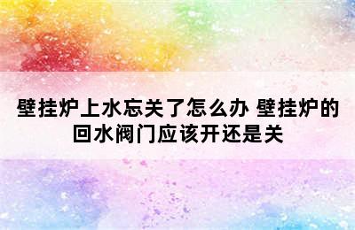 壁挂炉上水忘关了怎么办 壁挂炉的回水阀门应该开还是关